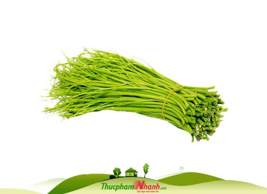 Sỉ lẻ Rau muống cọng, Giao 24h, Xanh Sạch An Toàn - Giá Tốt