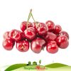 Cherry My Gia Tot