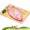 Cá điêu hồng