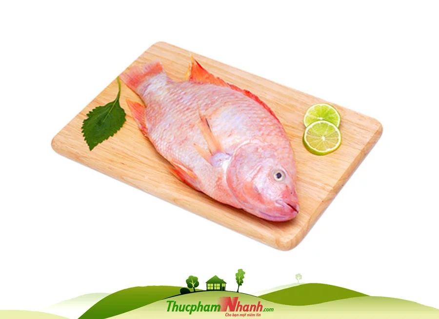 Cá điêu hồng