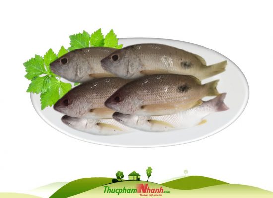 Sỉ lẻ Cá róc biển làm sạch cấp đông | Thực Phẩm Nhanh