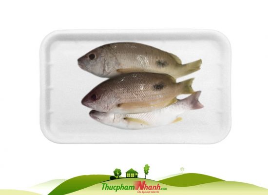 Sỉ lẻ Cá róc biển làm sạch cấp đông | Thực Phẩm Nhanh