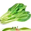 Cải ngọt loại 1kg