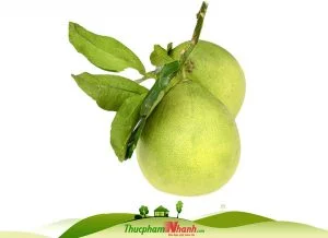 Bưởi năm roi