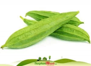 Mướp khía