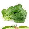 bo xoi loai 1kg