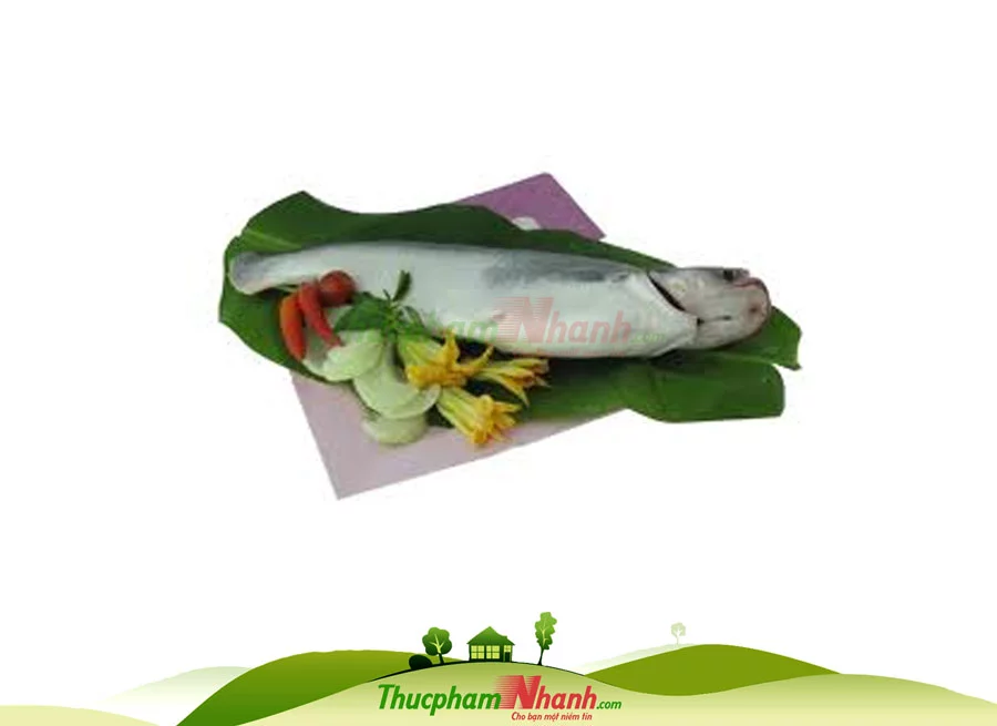 Ca Basa Nguyen Con Lam Sach