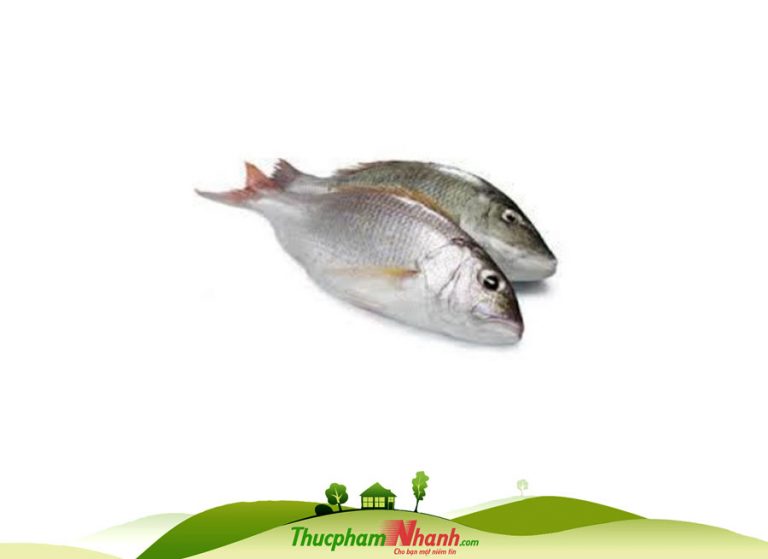 Sỉ lẻ Cá róc biển làm sạch cấp đông | Thực Phẩm Nhanh
